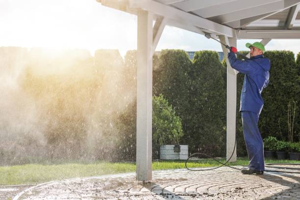 Best Window and Screen Pressure Cleaning in Odessa, MO